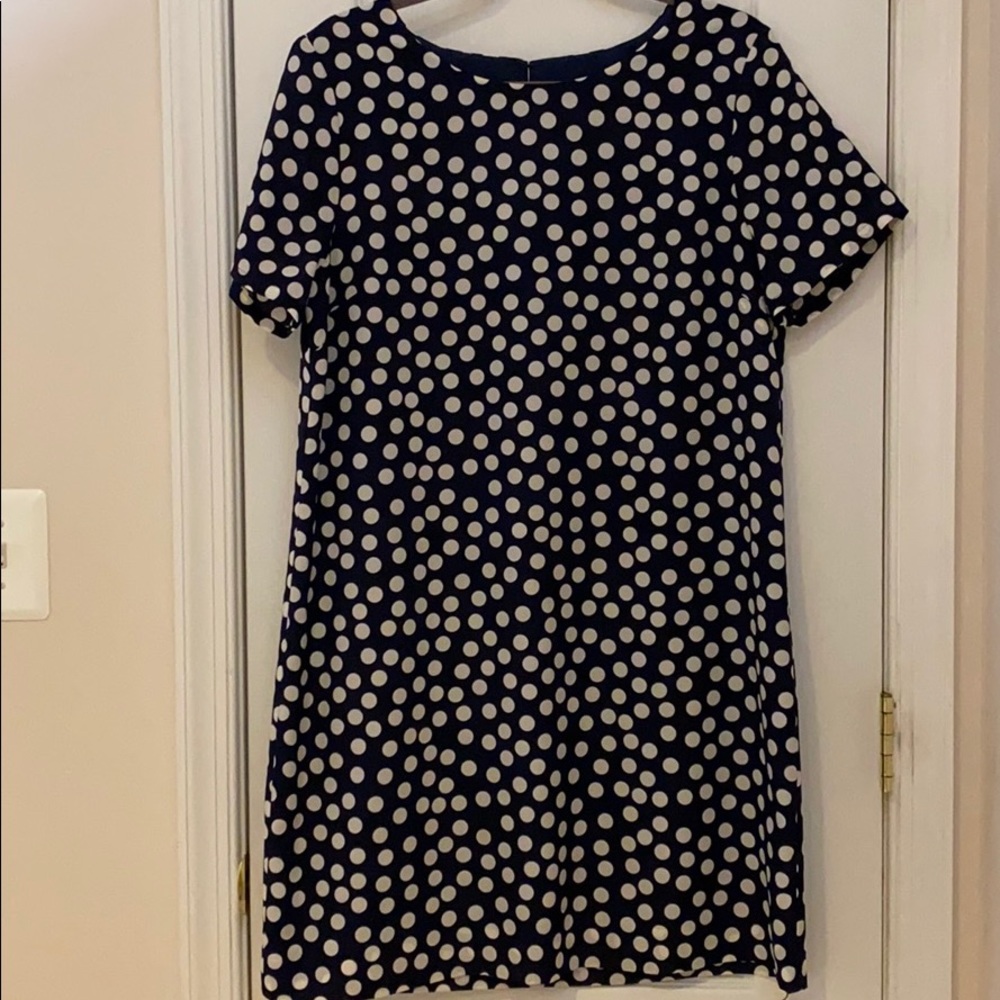 J.crew Navy & White dress